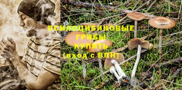 таблы Каменногорск